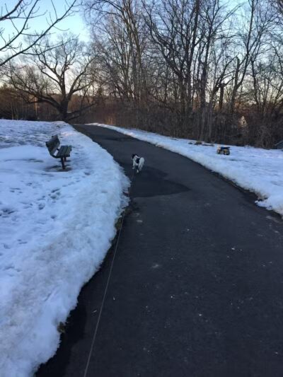 Wurster Park - Ann Arbor,