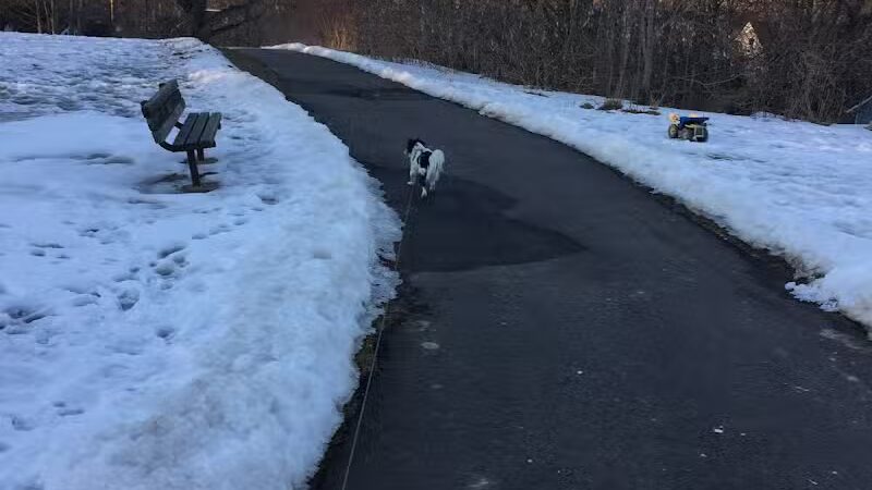 Wurster Park - Ann Arbor,