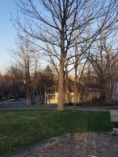 Wurster Park - Ann Arbor,