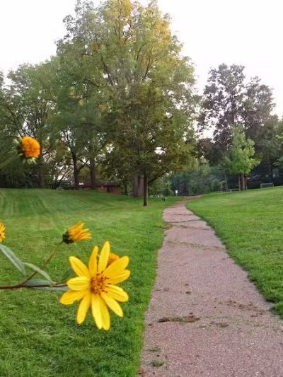 Wurster Park - Ann Arbor,