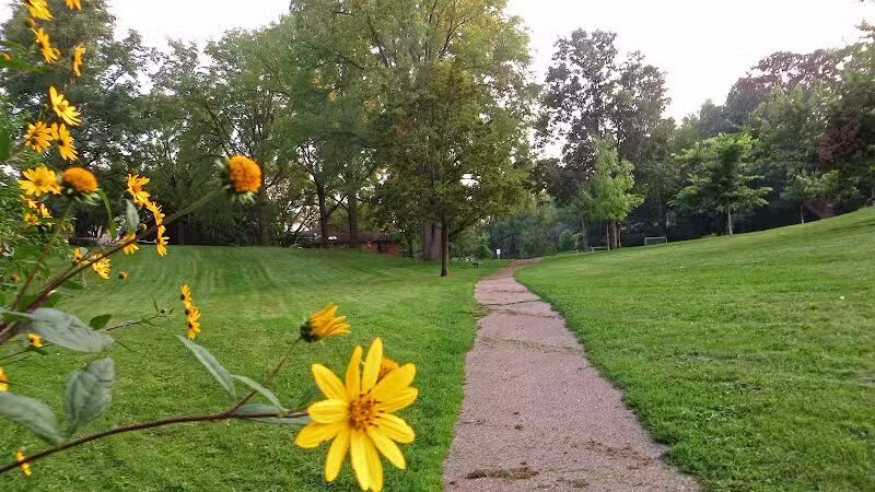 Wurster Park - Ann Arbor,