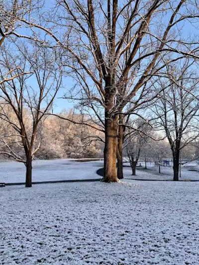 Wurster Park - Ann Arbor,