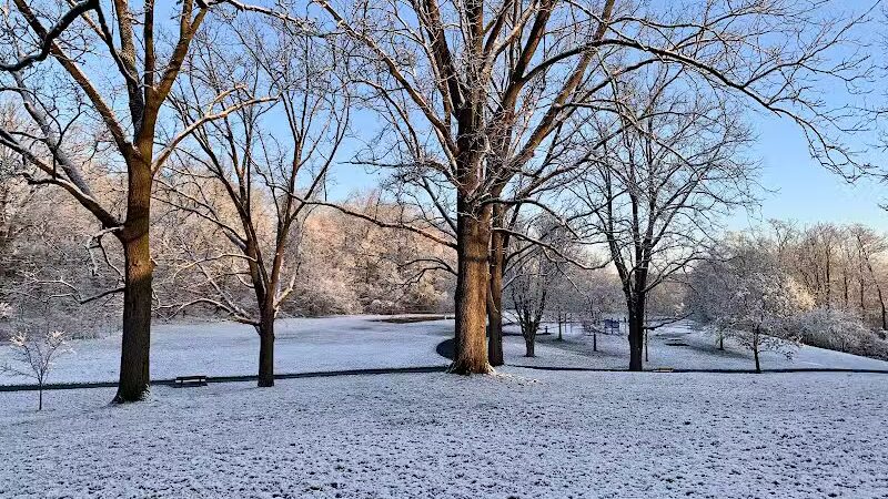 Wurster Park - Ann Arbor,