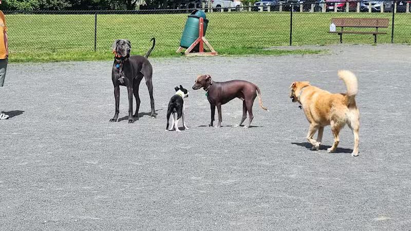 Mason District Off-Leash Dog Park - Annandale,