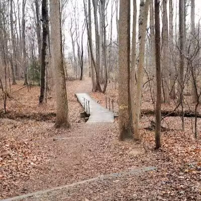 Mason District Off-Leash Dog Park - Annandale,