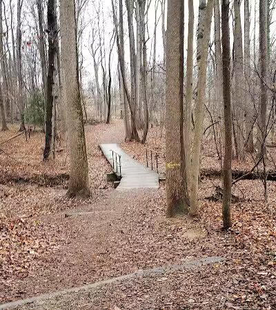 Mason District Off-Leash Dog Park - Annandale,