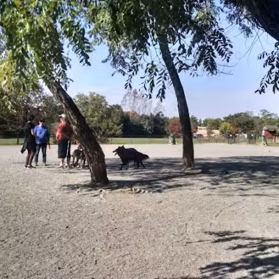 Mason District Off-Leash Dog Park - Annandale,