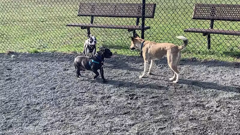 Mason District Off-Leash Dog Park - Annandale,