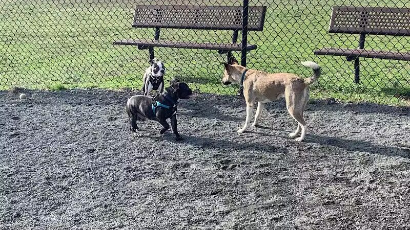 Mason District Off-Leash Dog Park - Annandale,