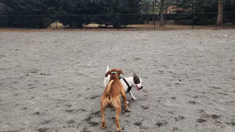 Mason District Off-Leash Dog Park - Annandale,