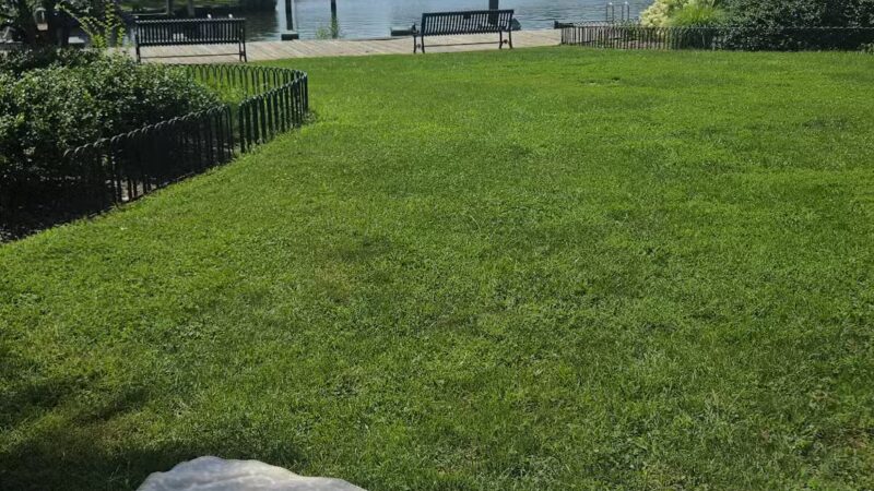 Acton's Cove Waterfront Park - Annapolis, MD