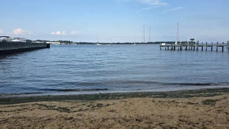 Horn Point Park - Annapolis, MD