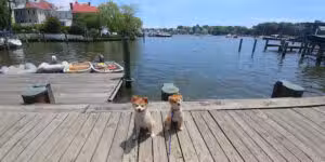 Acton's Cove Waterfront Park - Annapolis, MD