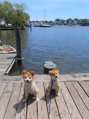 Acton's Cove Waterfront Park - Annapolis, MD