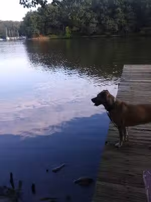 Amos Garrett Waterfront Park - Annapolis, MD