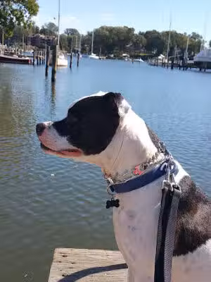 Lafayette Waterfront Park - Annapolis, MD