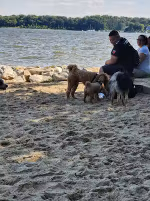 Quiet Waters Dog Park - Annapolis, MD
