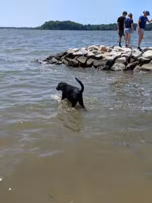 Quiet Waters Park - Annapolis, MD