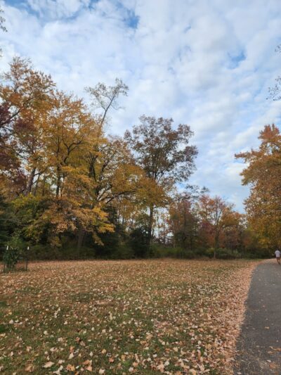South River Overlook - Annapolis Neck, MD