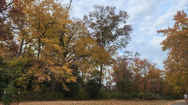 South River Overlook - Annapolis Neck, MD