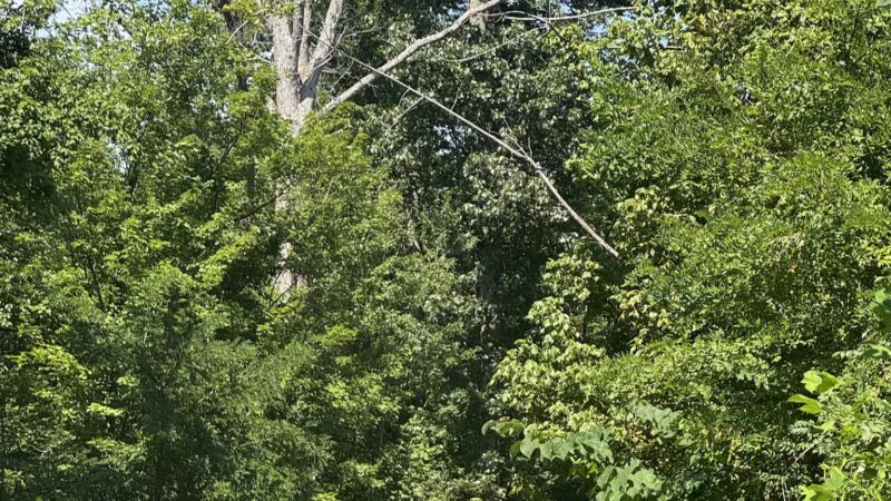 Quiet Waters Park - Annapolis, MD