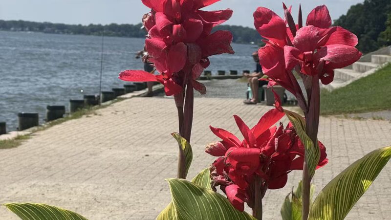 Quiet Waters Park - Annapolis, MD