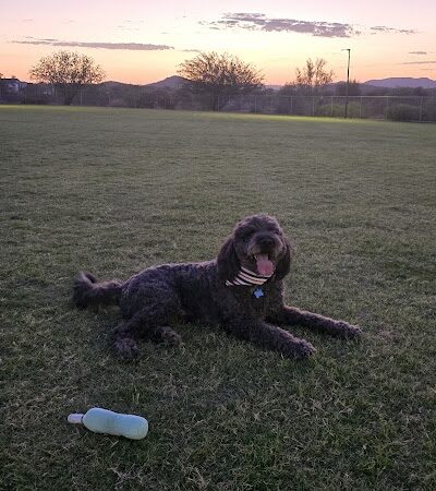 Anthem Dog Park (membership required) - Anthem, AZ