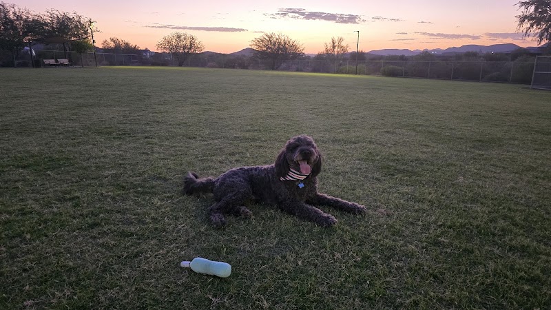 Anthem Dog Park (membership required) - Anthem, AZ