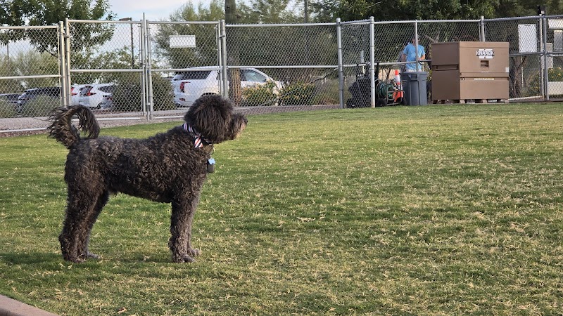 Anthem Dog Park (membership required) - Anthem, AZ