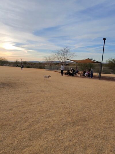 Anthem Dog Park (membership required) - Anthem, AZ