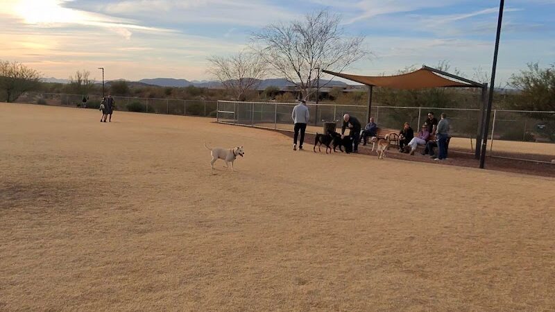 Anthem Dog Park (membership required) - Anthem, AZ