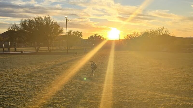 Anthem Dog Park (membership required) - Anthem, AZ