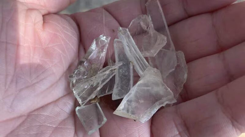 Pitts Dog Park - Antioch, TN