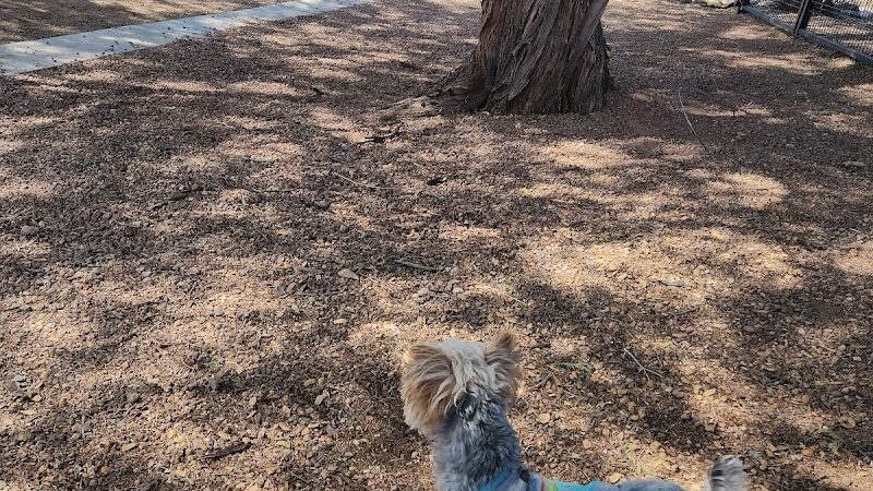 Dutchman Dog Park - Apache Junction, AZ