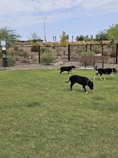 Ruff Ranch Dog Park at Painted Sky Park - Apache Junction, AZ