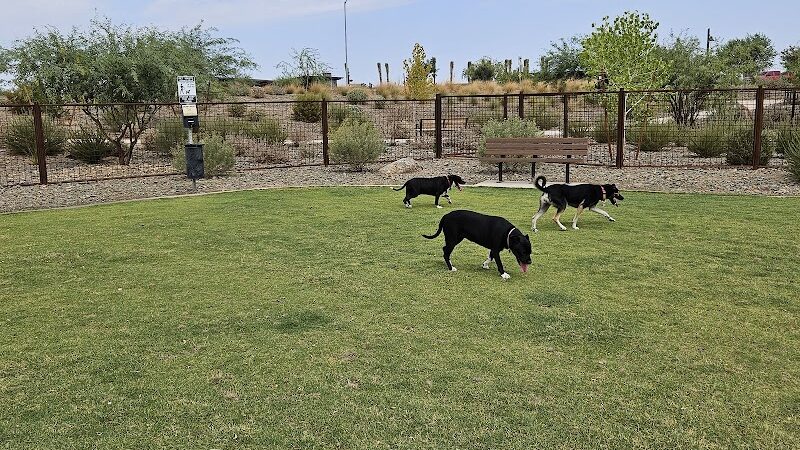 Ruff Ranch Dog Park at Painted Sky Park - Apache Junction, AZ