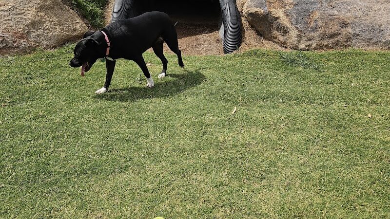 Ruff Ranch Dog Park at Painted Sky Park - Apache Junction, AZ