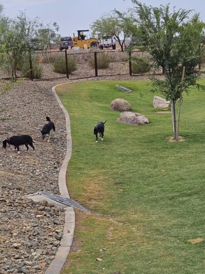 Ruff Ranch Dog Park at Painted Sky Park - Apache Junction, AZ