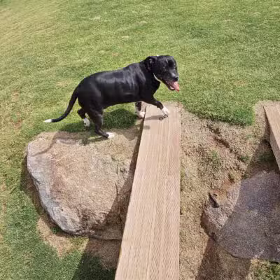 Ruff Ranch Dog Park at Painted Sky Park - Apache Junction, AZ
