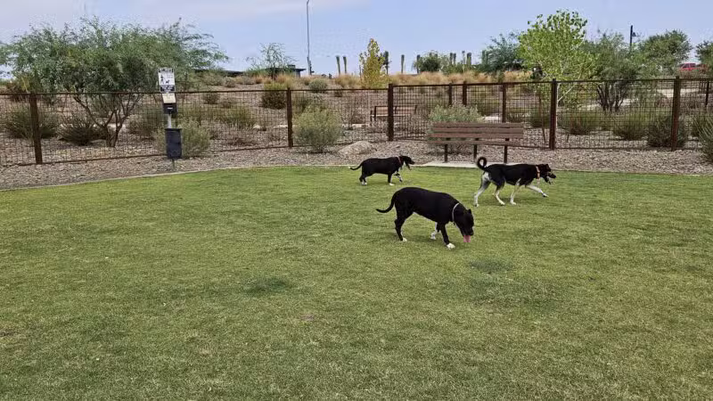 Ruff Ranch Dog Park at Painted Sky Park - Apache Junction, AZ