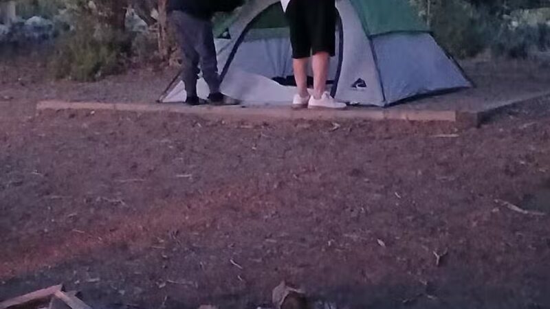 Navajo State Park - Arboles, CO