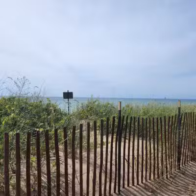 Arcadia Beach Natural Area - Arcadia,
