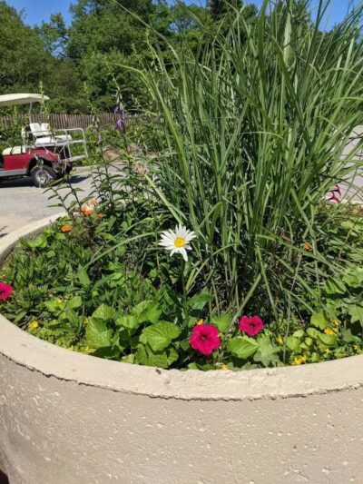 Arcadia Beach Natural Area - Arcadia,