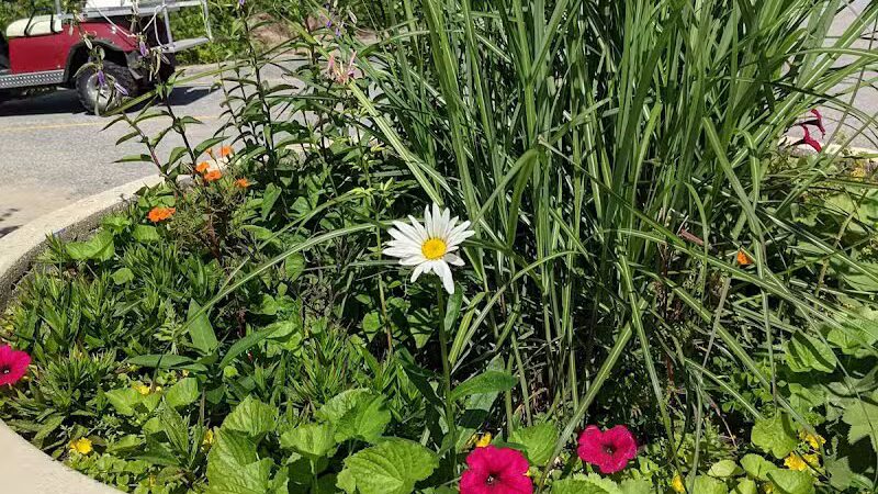 Arcadia Beach Natural Area - Arcadia,