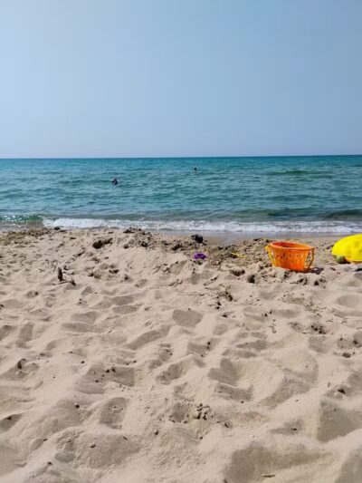 Arcadia Beach Natural Area - Arcadia,