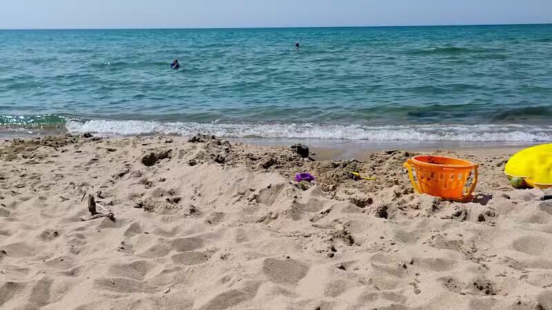 Arcadia Beach Natural Area - Arcadia,