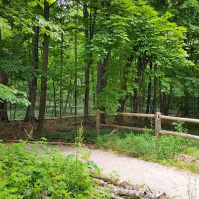 Arcadia Dunes: The C.S. Mott Nature Preserve - Arcadia,