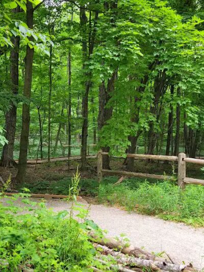 Arcadia Dunes: The C.S. Mott Nature Preserve - Arcadia,