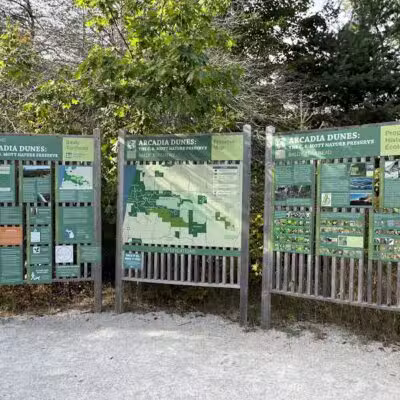 Arcadia Dunes: The C.S. Mott Nature Preserve - Arcadia,