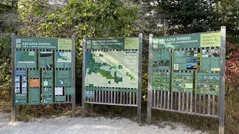 Arcadia Dunes: The C.S. Mott Nature Preserve - Arcadia,